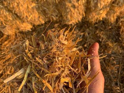 Bild 2:Stroh und Heu