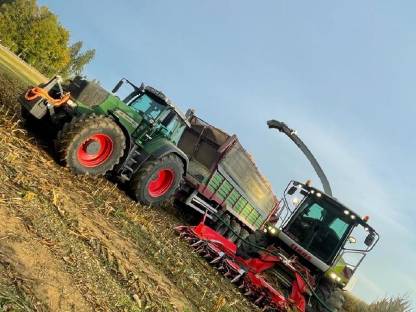 Bild 2:Maisballen zu verkaufen