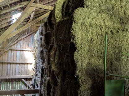 Bild 4:Heu, Pferdeheu