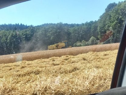 Bild 2:Mähdrescher zu verkaufen New Holland 8060