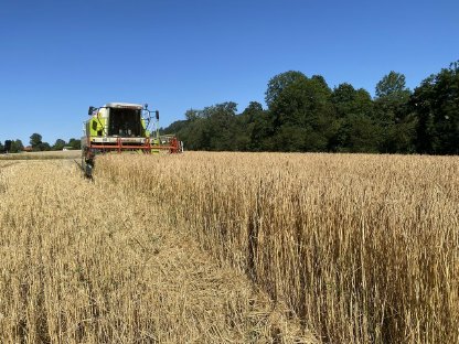 Bio-Dinkelstroh ab Feld