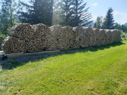 Brennholz