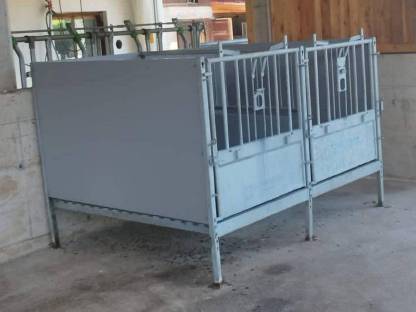 kälberbox