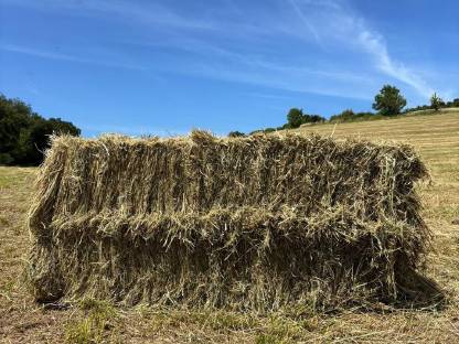 Bild 5:Kleine Heuquaderballen