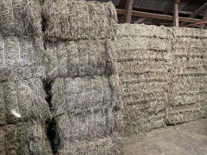 Bild 2:Heu Quader Großballen