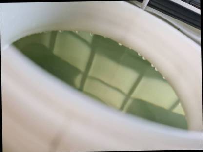 Bild 2:BIO Lavendel Hydrolat Bio Insektizid