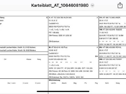 Verkaufe GGZ-Kitz von einer Bockmutter