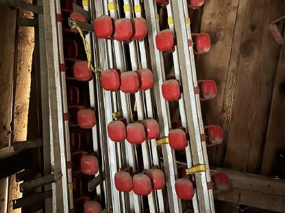 Hühnerstall Tränken ca. 50 m