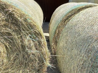 Bild 2:Heuballen 2025