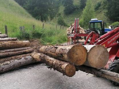Bild 2:Lohnspalten und Brennholzverkauf