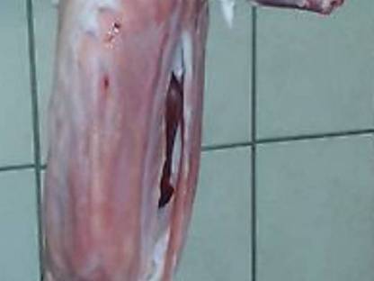 Hasenfleisch