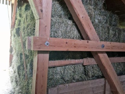 Bild 6:Kleinballen (Quaderform)