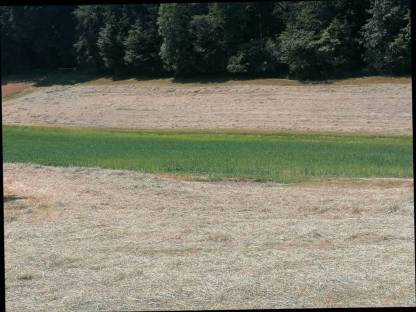 Bild 7:Heu Kleinballen