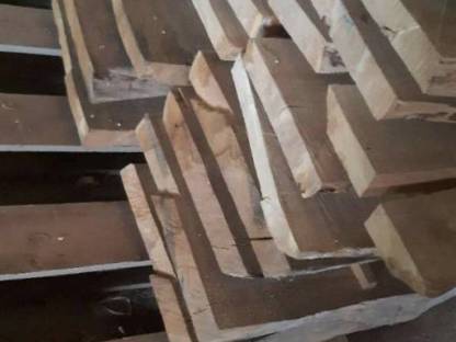 Bild 4:Edelkastanien und Birken Pfosten