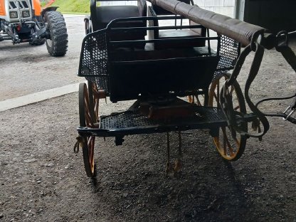 Bild 3:Pferdekutsche