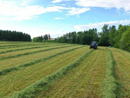Bild 2:BIO Silageballen, 45 Messer, kurz geschnitten