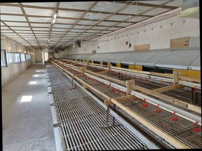 Bild 9:Legehennenstall