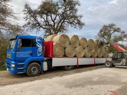 Bild 5:Heurundballen – Ernte 2025