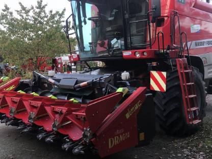 Bild 5:Massey Ferguson Beta 7270 AL-4