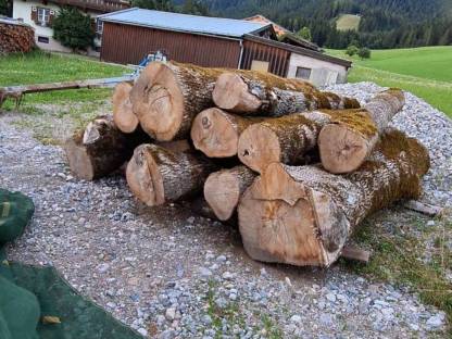 Eschen Rundholz
