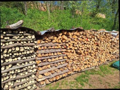 Bild 2:Brennholz