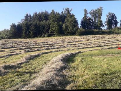 Bild 3:Pferdeheu 1. Schnitt 2025 von BIO-Betrieb