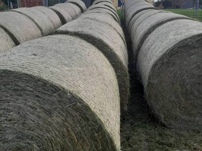 Bild 3:Siloballen 1. bis 5. Schnitt