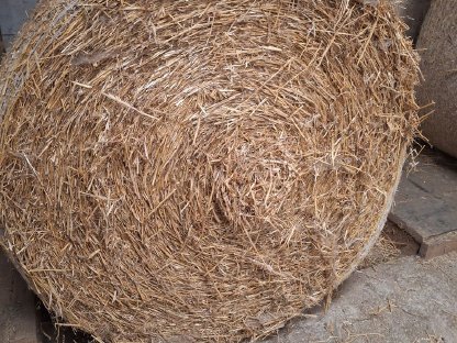 Stroh
