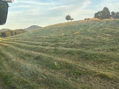 Bild 3:Heu, Pferdeheu