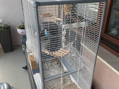 Vogelkäfig