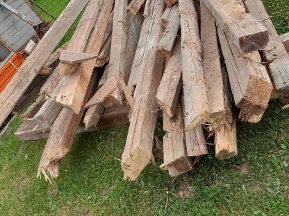 Bild 2:Altholz