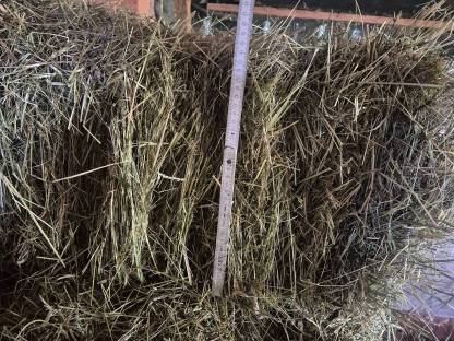 Bild 3:Verkaufe HD-Ballen