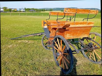 Bild 4:Pferdekutsche