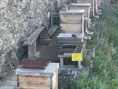 Imkerei Bienen Betriebsauflösung