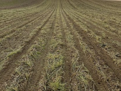 Bild 3:Lohnanbau mit Precision Planting Sätechnik aus den USA