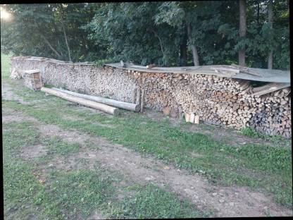 Trockenes Brennholz (Hartholz)
