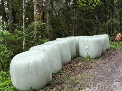 Siloballen 2. Schnitt