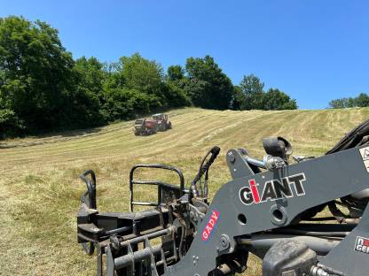 Bild 3:Suche Pachtflächen ab 10ha Grossraum Graz/Umgebung
