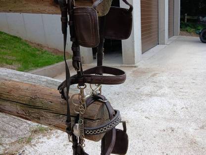 Bild 7:Trainingswagen