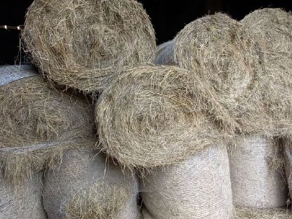 Bio-Heuballen 1. & 2. Schnitt – Ernte 2024 zu verkaufen