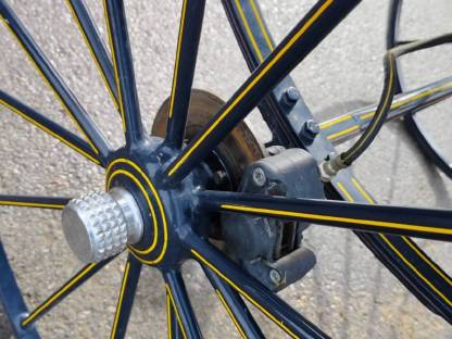 Bild 5:Dressurkutsche