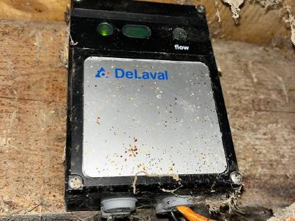 Delaval Brunsterkennung