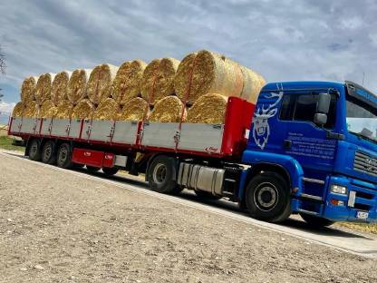 Bild 2:Strohrundballen - kurz geschnitten