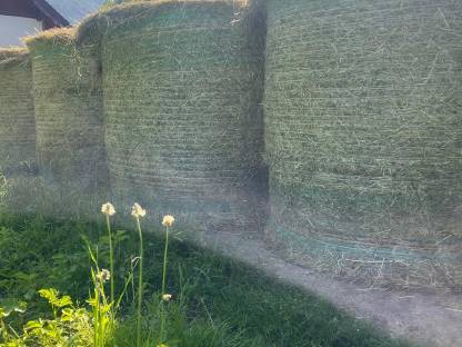 Bild 3:Heuballen
