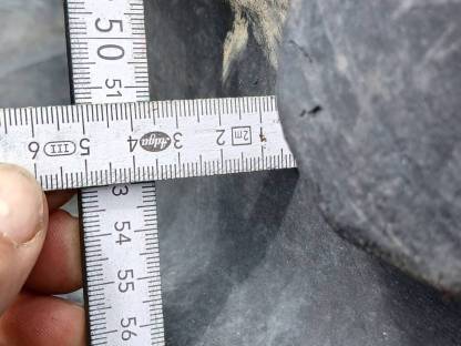 Bild 3:Reifen 540/65 R 28