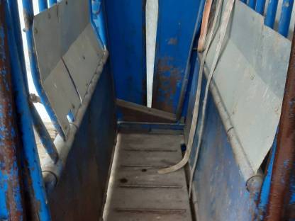 Bild 2:Viehbehandlungsstand Texas Trading