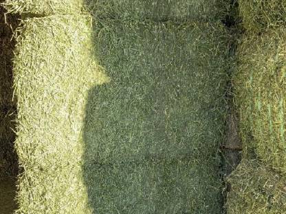 Bild 3:Stroh, Pferdeheu, Heißluftluzerne