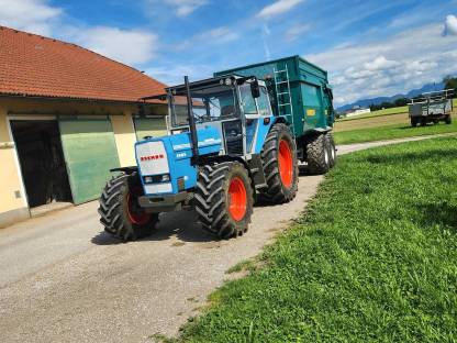 Eicher gesucht