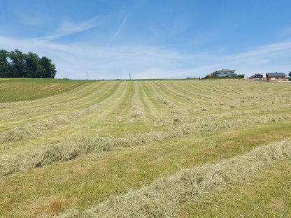 Heuballen Mahd 16.06.25