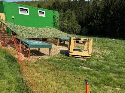 Bild 8:Mobiler Hühnerstall-Container